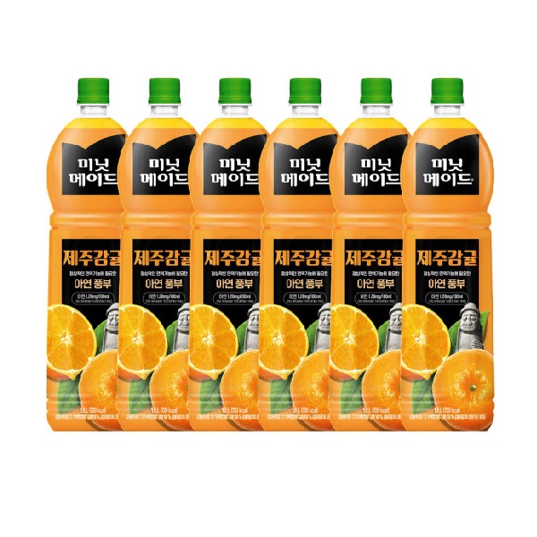 lotte24_minijeju15_sum.jpg