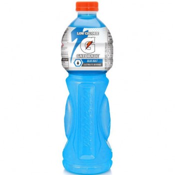 게토레이 블루볼트 1.5L